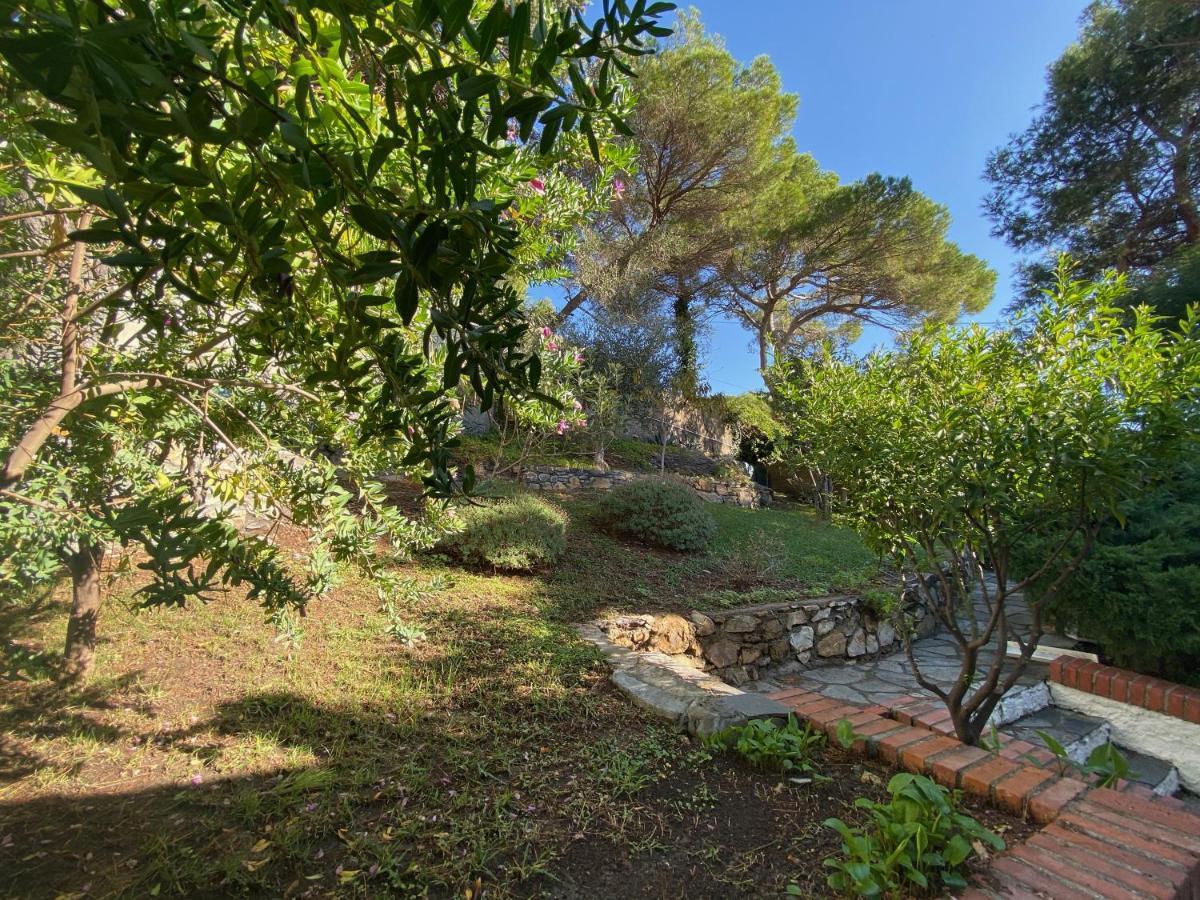 Appartamenti La Pineta Marina dʼMarina dʼAndora Kültér fotó